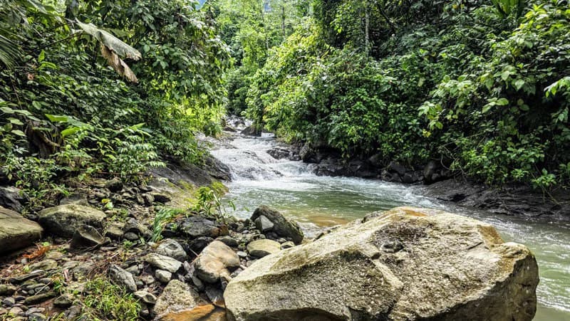 Waterfall Estate, Dos Bocas, Dominical Featuring Twin Waterfalls, Springs, Creeks & Rivers - photo 35
