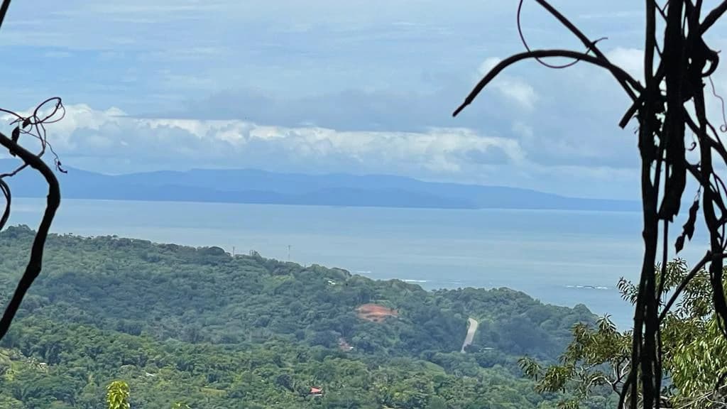 Eduardo Lee 17 Acres: Mountain Agricultural Land For Sale in Bejuco - photo 4
