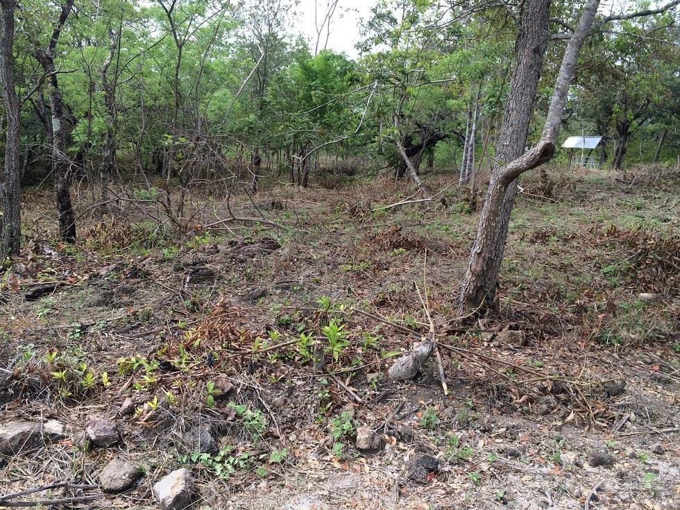 Finca grande: Economic Building property for sale in El Salto, with private access to the surrounding beautiful nature with own river - photo 4