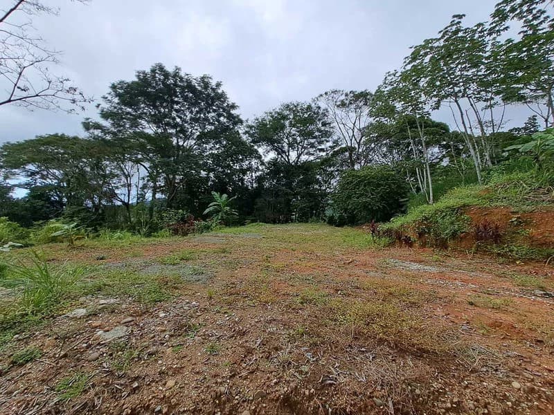Where Ocean Vistas, Jungle Symphony, and Mountain Breezes Unite! - photo 3