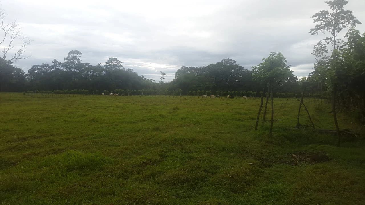 Countryside Development Parcel For Sale in Cariari - photo 8