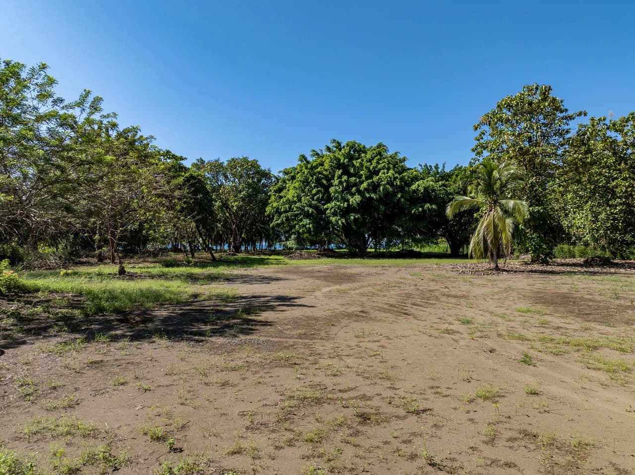 Exclusive Beachfront Opportunity south of Manuel Antonio Costa Rica - photo 6