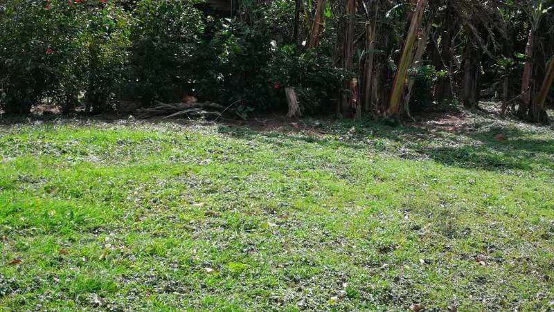 WATERVIEW PARADISE - Lake View Building Lot - photo 6