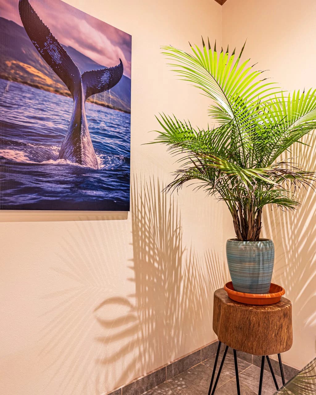 Casa Tortuga: New Home Just 3 Minutes Walk From Playa Matapalo - photo 42
