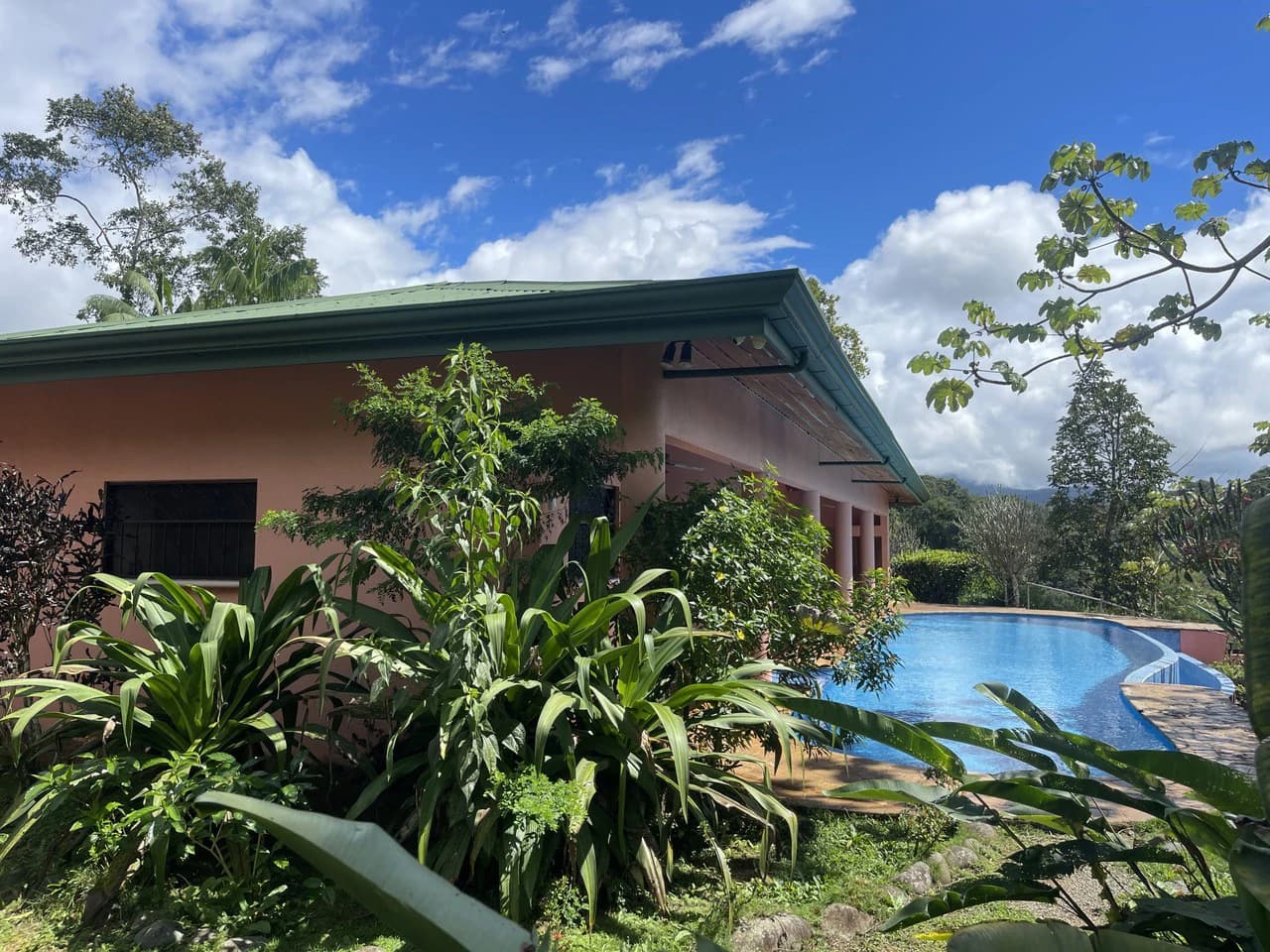 5.2 ACRES – 2 Bedroom Home With 60 Ft Infinity Lap Pool, 1 Bedroom Guest House, Fabulous Ocean View, Mature Fruit Trees!!! - photo 9