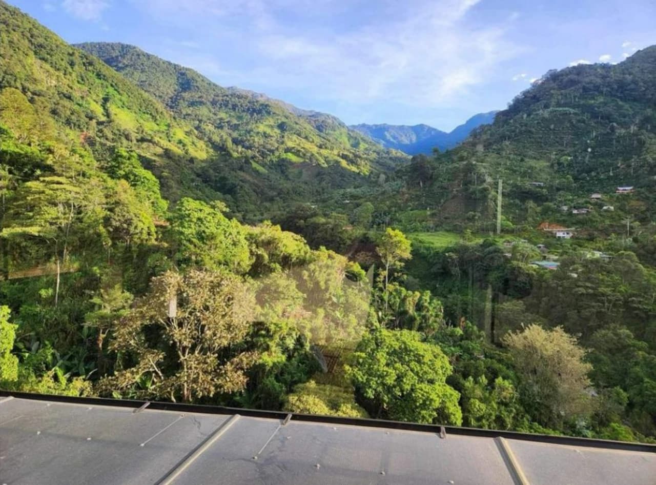 Modern Country House with Guest Cottage Amidst a Coffee Plantation in Perez Zeledon, Costa Rica - photo 43
