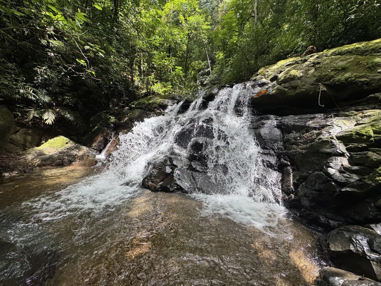 23.5 Acre Waterfall & Riverfront Estate Bahia Ballena Osa Peninsula - photo 25