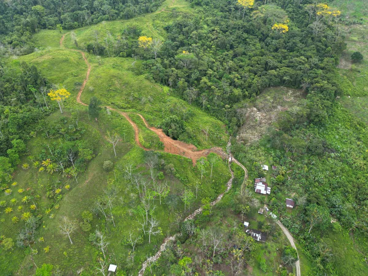 Fire Sale Farm with Ocean View | Piedras Blancas, Osa Peninsula - photo 2