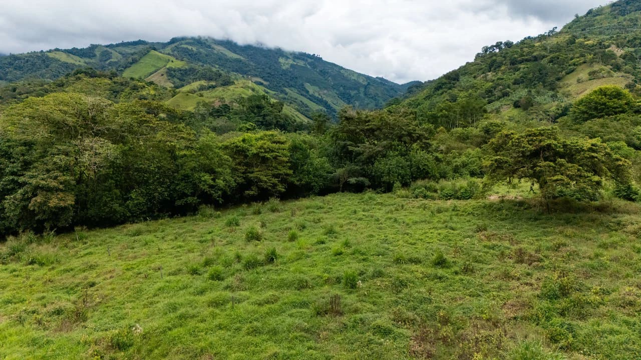 Mountain Home Construction Site For Sale in Río Nuevo - photo 18