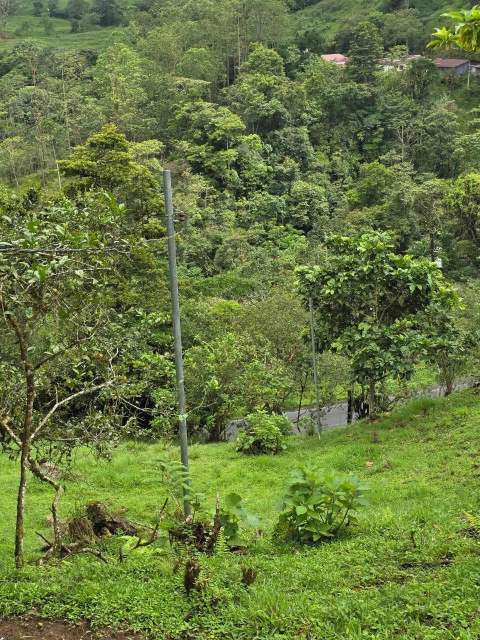 INVESTOR & DEVELOPER ALERT: High-Visibility Investment Property in the Heart of Tourist-Friendly Zarcero - photo 5