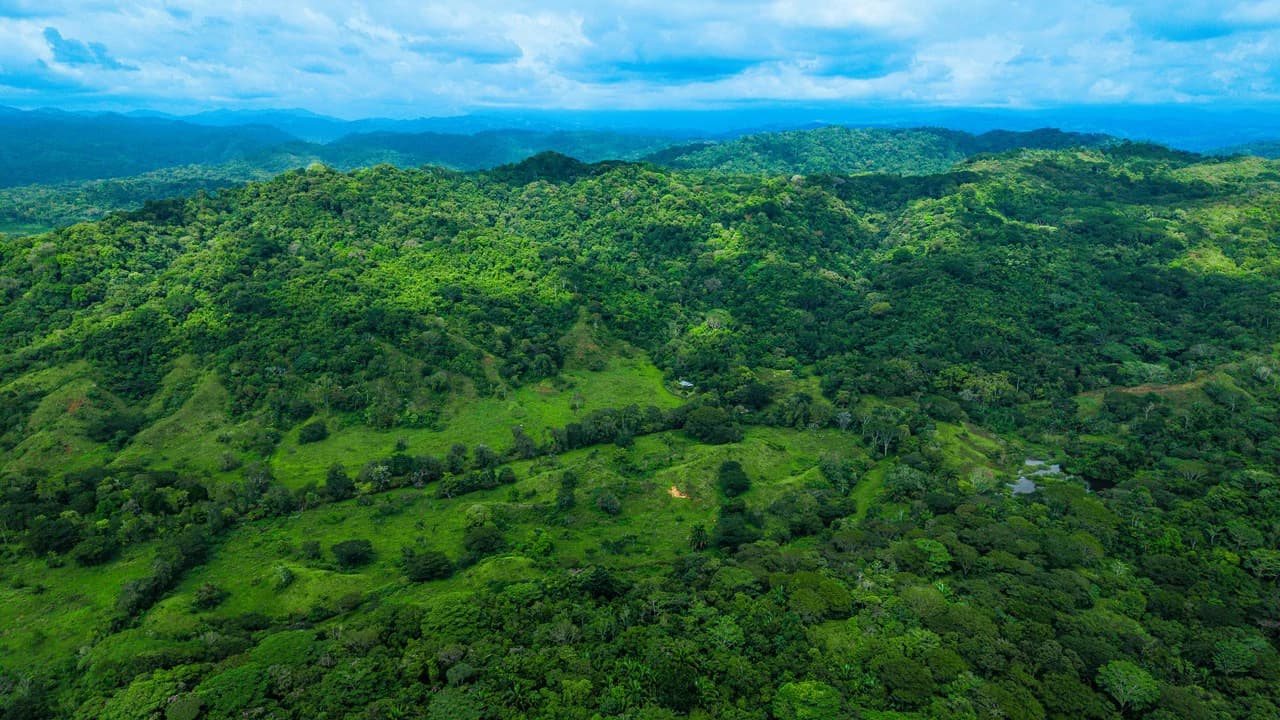 4,850 Acre Beachfront Legacy Ranch Esterillos Central Pacific Coast - photo 27