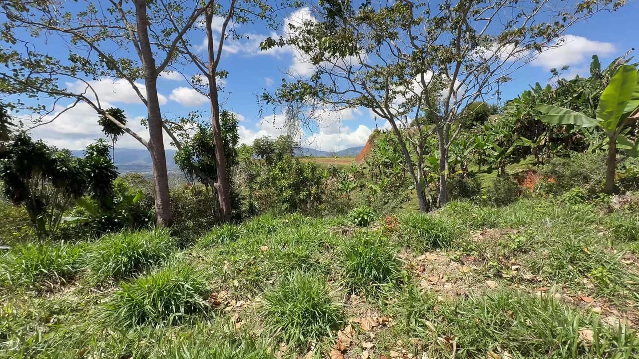 Property For Sale in Miravalles - photo 4
