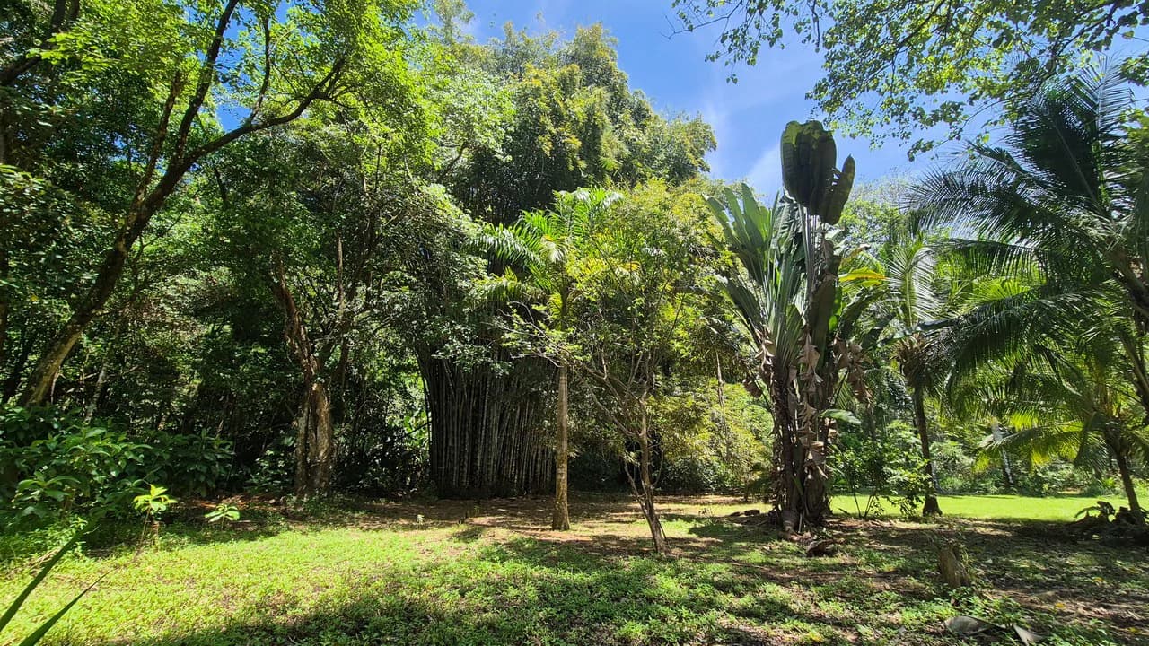 Dream Beachfront Property at Ballena Beach in Uvita, Costa Rica - photo 19