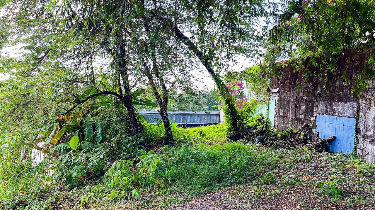 Build Ready Lot in the Heart of Manuel Antonio - photo 13