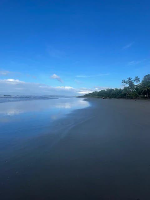 Casa Tortuga: The turtles are hatching! Playa Bejuco, walk to the Beach Home for Sale Costa Rica - photo 21