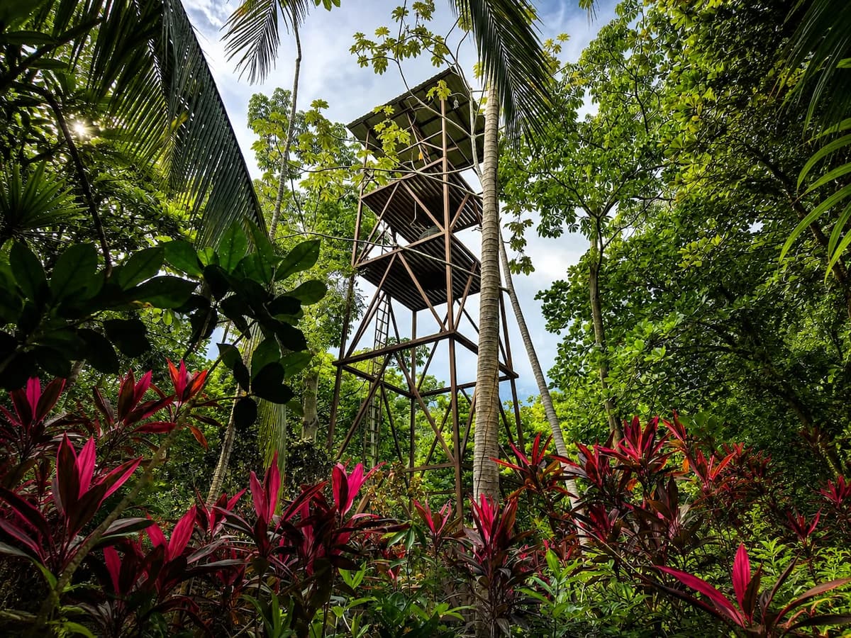 Tropical Beach Home – Sombrero, Osa Peninsula Costa Rica - photo 34