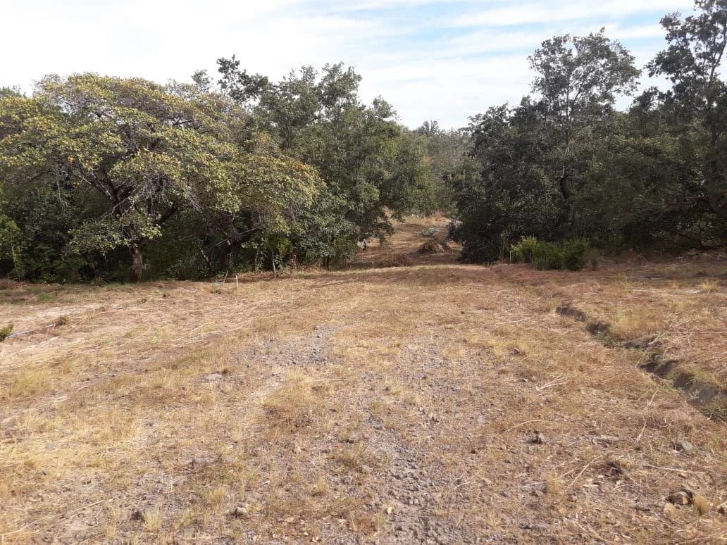 Colorado River Paradise Farm for Sale - Just 10 Minutes from Liberia - photo 7