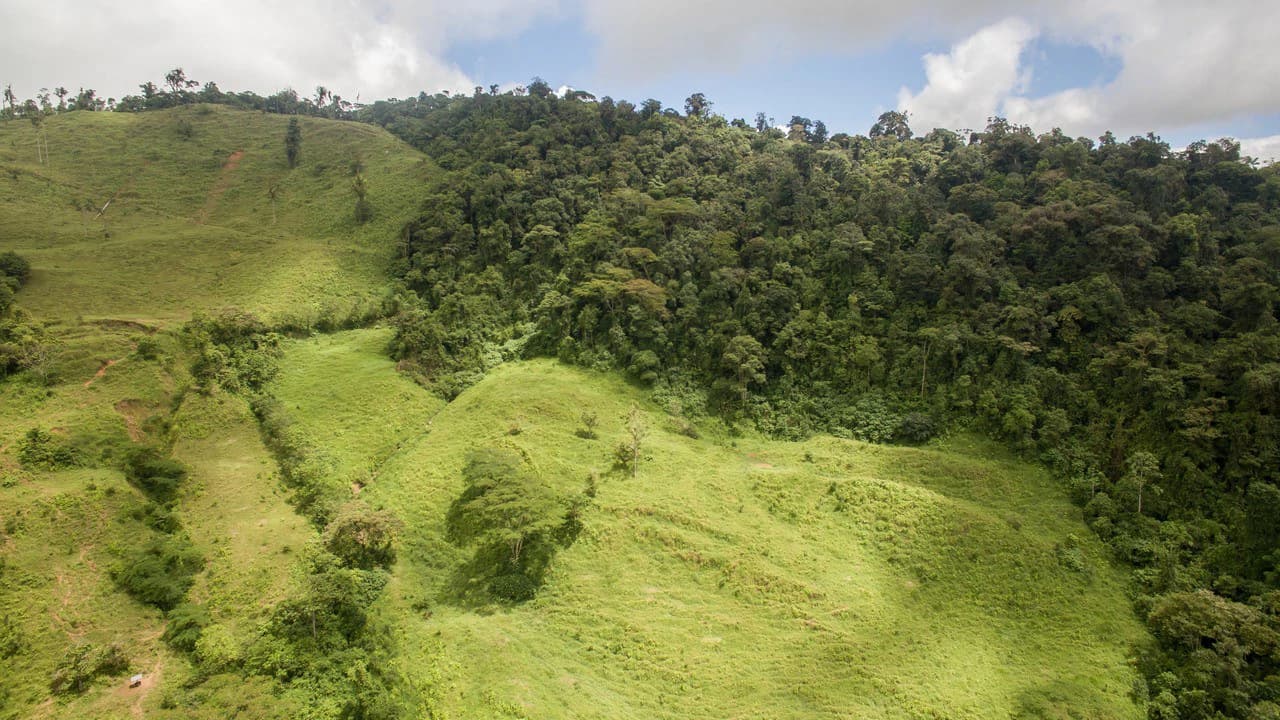 Off Grid 70-Hectare Farm with Stunning Ocean Views and Freshwater Springs - photo 28