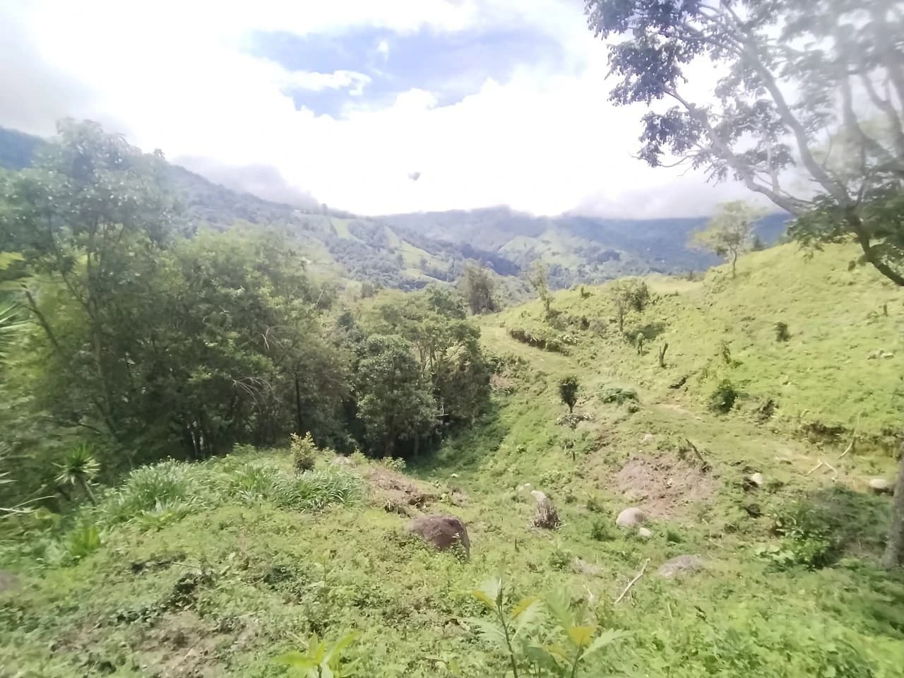 LOTE EN HERRADURA RIVAS.: Mountain Agricultural Land For Sale in San Isidro del General - photo 19