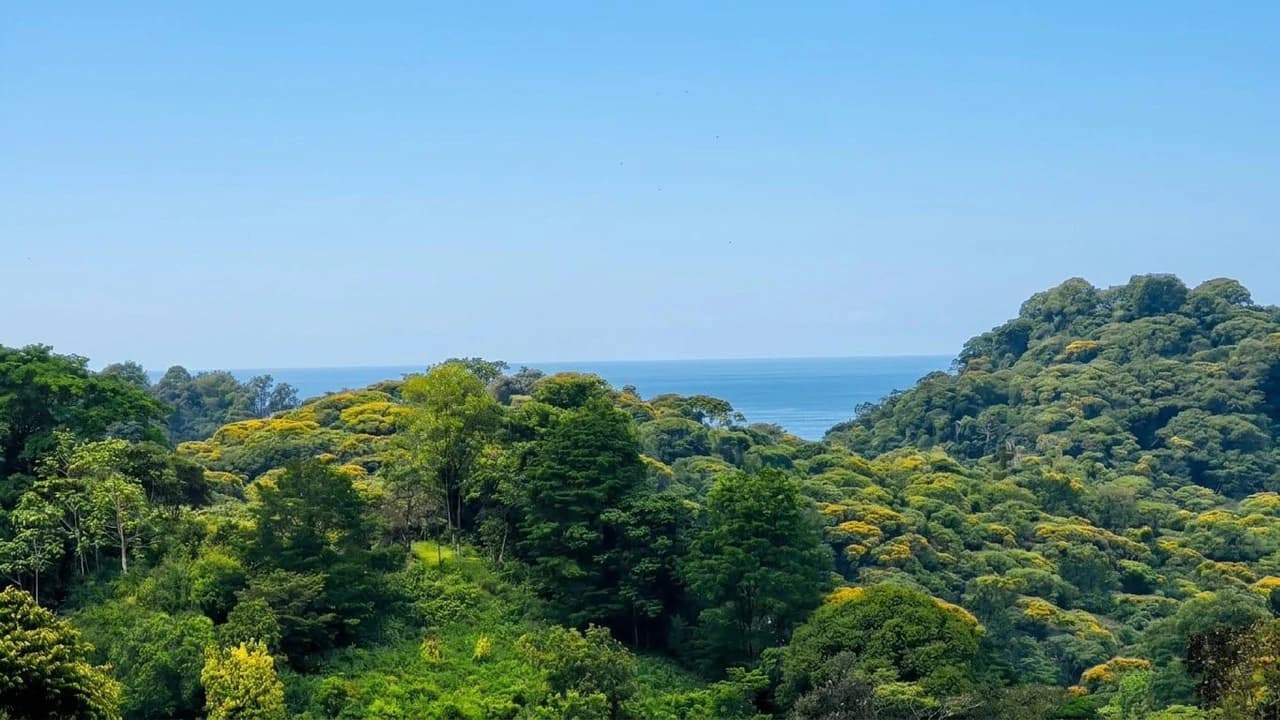 Near the Coast Home Construction Site For Sale in Pavon - photo 2