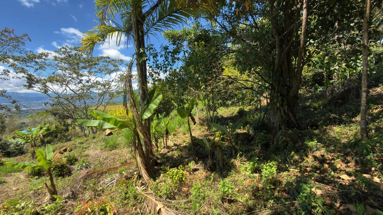 SE VENDE LOTE DE 1066M2, UBICADO EN MIRAVALLES, PEREZ ZELEDON.: Home Construction Site For Sale in Miravalles - photo 4