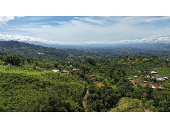 Panoramic View Lot with Tranquil Creek and Easy Access to San Isidro - photo 3