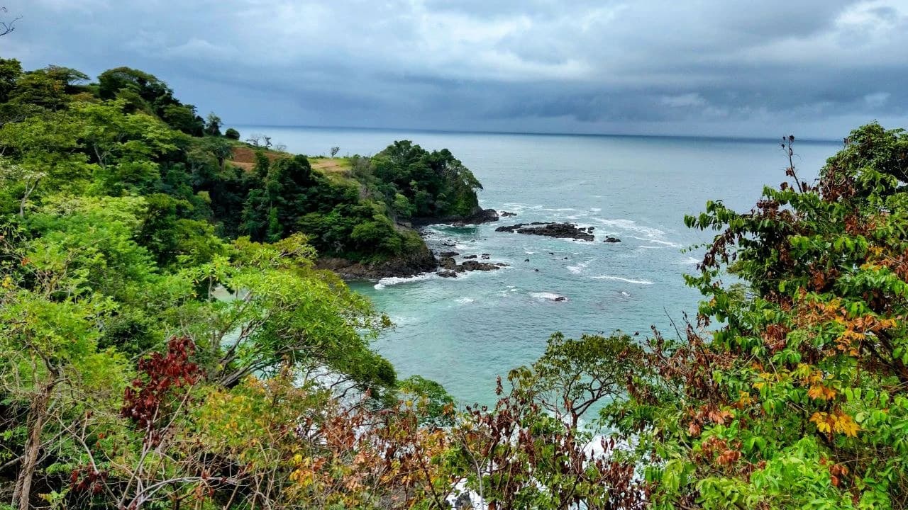 Lot #63: Luxury lots for sale with amazing ocean views in Playa Herradura! - photo 5