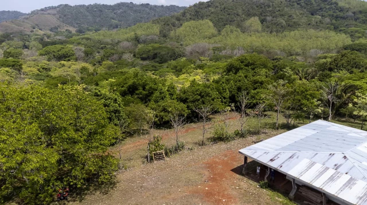 Farm for sale in Puntarenas Lepanto Costa Rica - photo 10