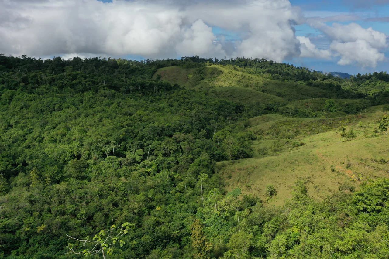 47 Acre Off Grid Ranch with Ocean & Mountain Views San Lorenzo Perez Zeledón - photo 21