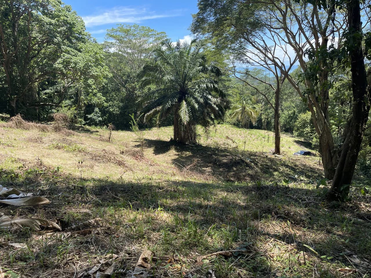 5.4 ACRES – Amazing Ocean View Acreage With Multiple Building Sites And Legal Water!!! - photo 3