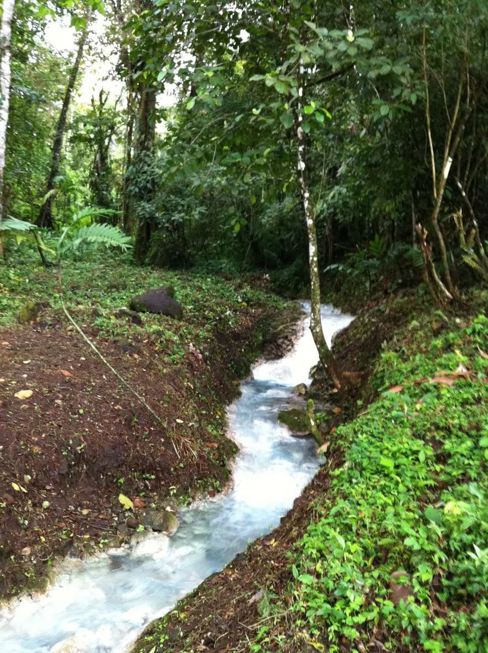 Hot and Cold Thermal Springs for Sale – Beautiful Property in Dos Ríos, Alajuela with Excellent Commercial Potential - photo 68