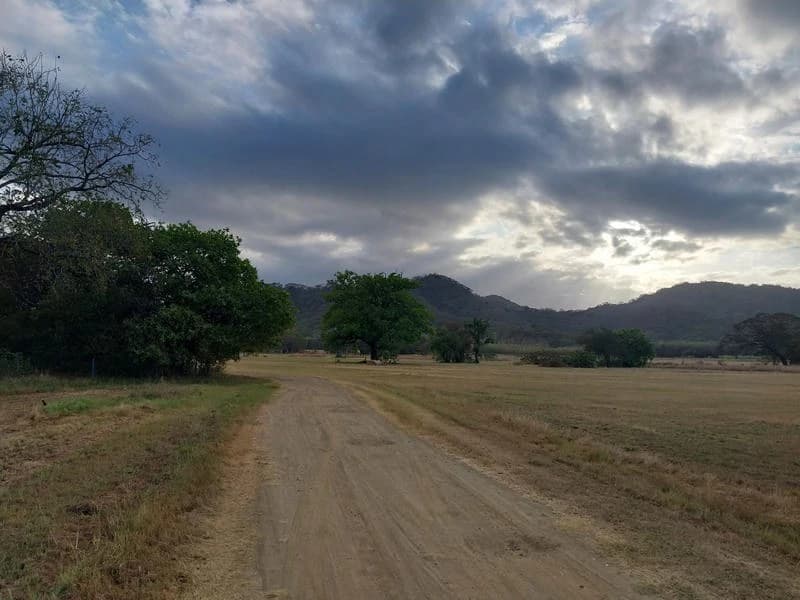 Development Parcel For Sale in Santa Cruz - photo 6