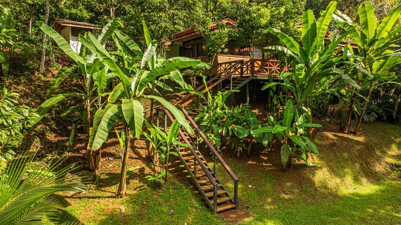 A Jungle House Built of Wood & River Dreams - photo 8
