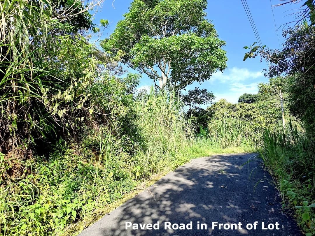 Eco-Lot #8: Ready-to-Build Sustainable Haven with Gulf & Mountain Views - photo 3