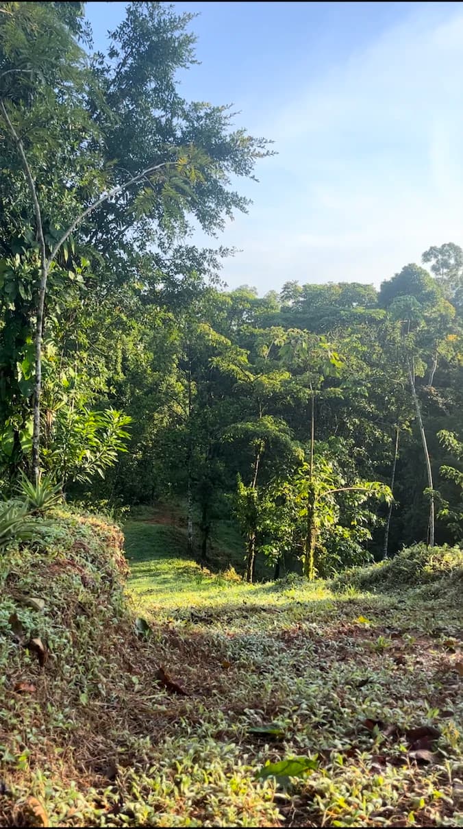 SPECTACULAR ECOLOGICAL MOUNTAIN FARM IN BIJAGUAL DE TURRUBARES - photo 41