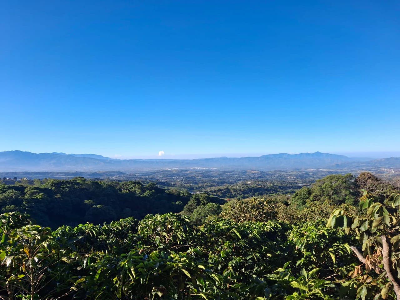 Cafetalero or Developer?: 25,378 m2 with Views of the Central Valley!!