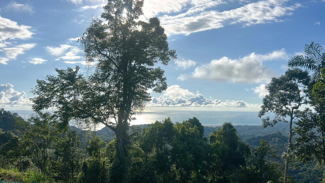 Year-Round Sunset Views | 3 Connected Build-Ready Lots - photo 2