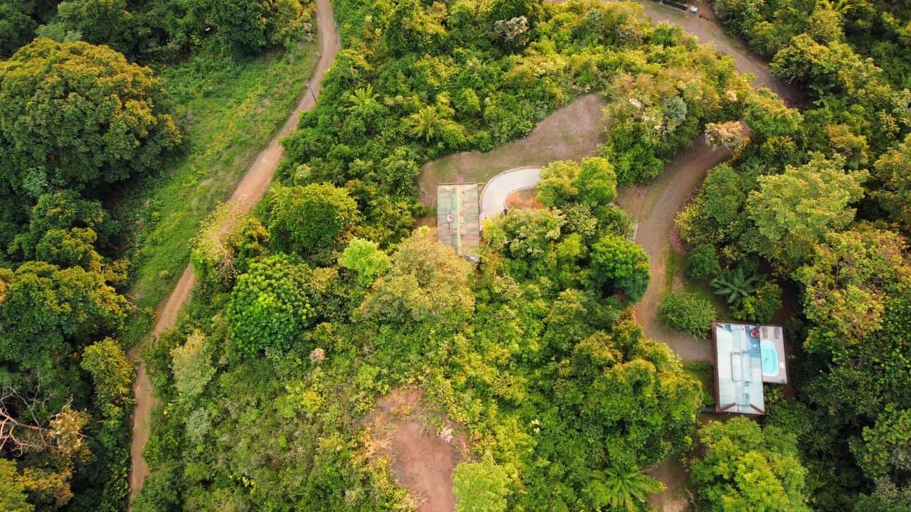 Casa Vista Hermosa: Nature refuge near Manuel Antonio National Park - photo 22