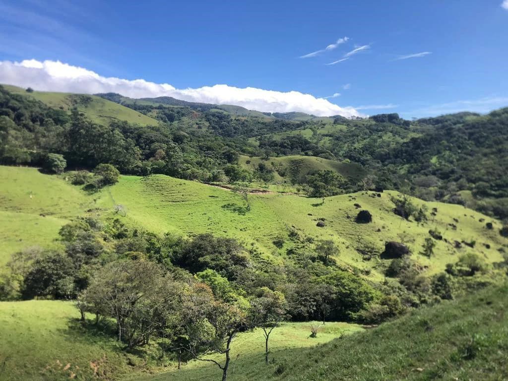 A Lifestyle Canvas with Gulf Views: 5 Hectares Near Monteverde CE0224: Build Your Dream Lifestyle: 5 Hectares with a million dollar Ocean Views & Sunset Magic Near Monteverde - photo 3