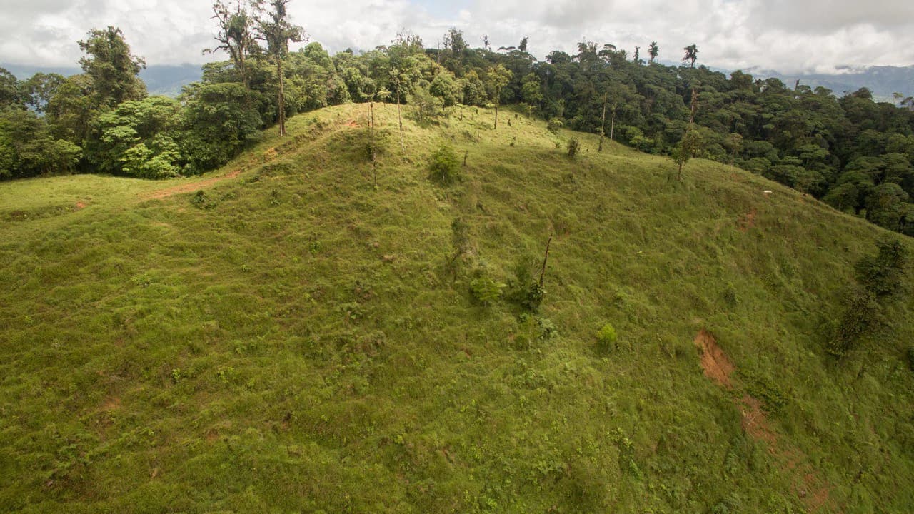 Off Grid 70-Hectare Farm with Stunning Ocean Views and Freshwater Springs - photo 24