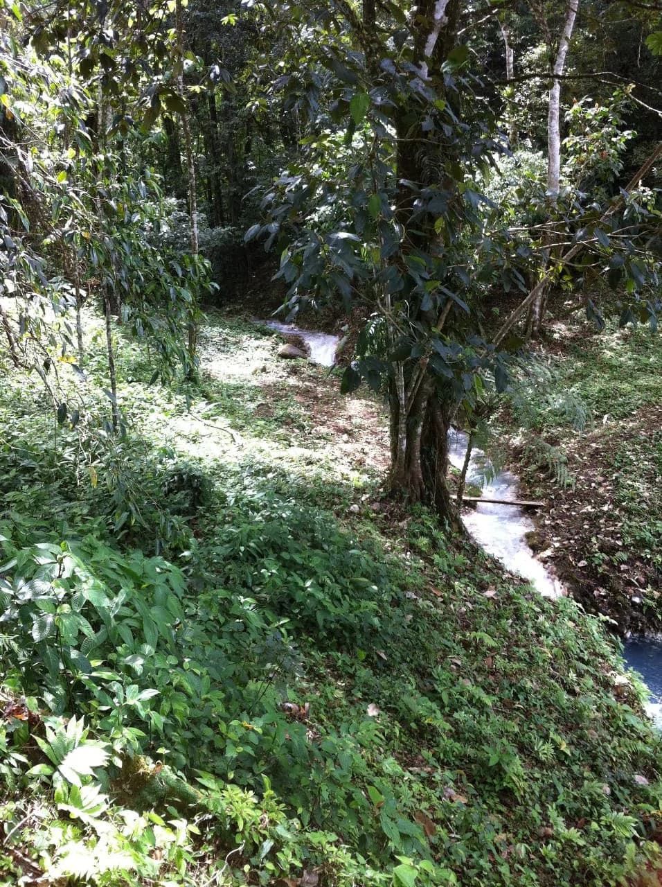Hot and Cold Thermal Springs for Sale – Beautiful Property in Dos Ríos, Alajuela with Excellent Commercial Potential - photo 71