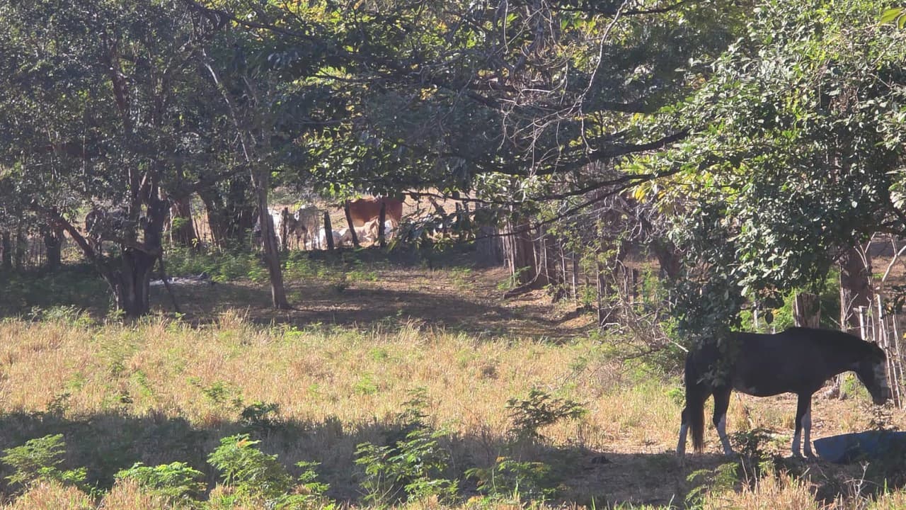 3 Commercial lots for sale in Artola with 70 m of public road frontage - photo 7