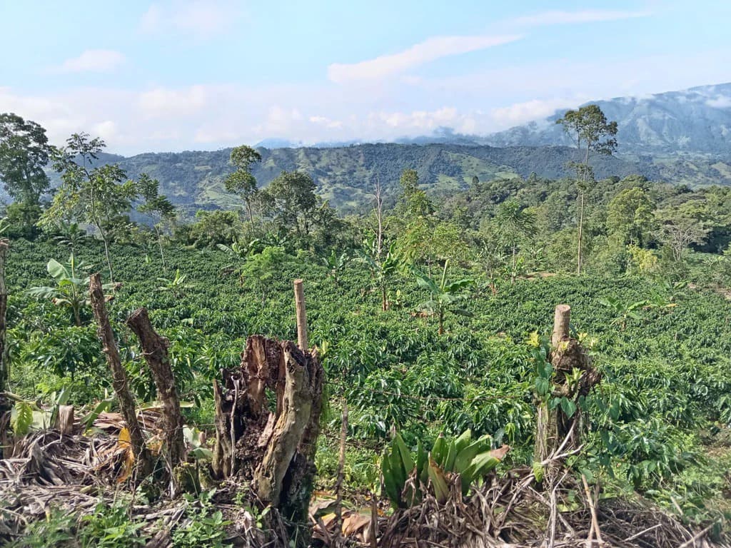 CAPTIVATING OCEAN AND PANORAMIC MOUNTAIN VIEW FINCA IN PURISCAL