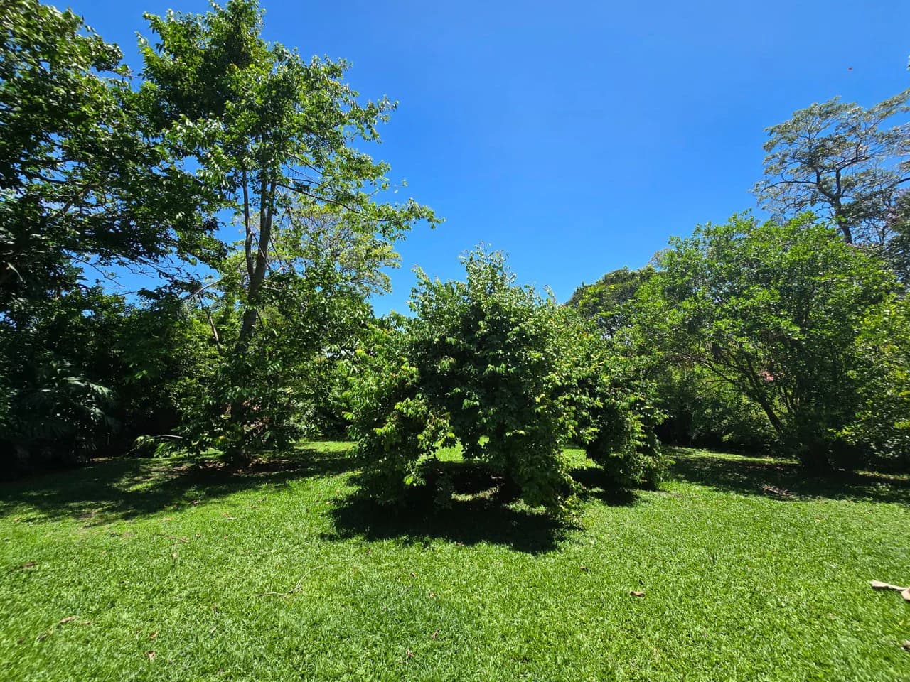 Land for Sale in Condominium in Ciudad Colón Costa Rica - photo 5