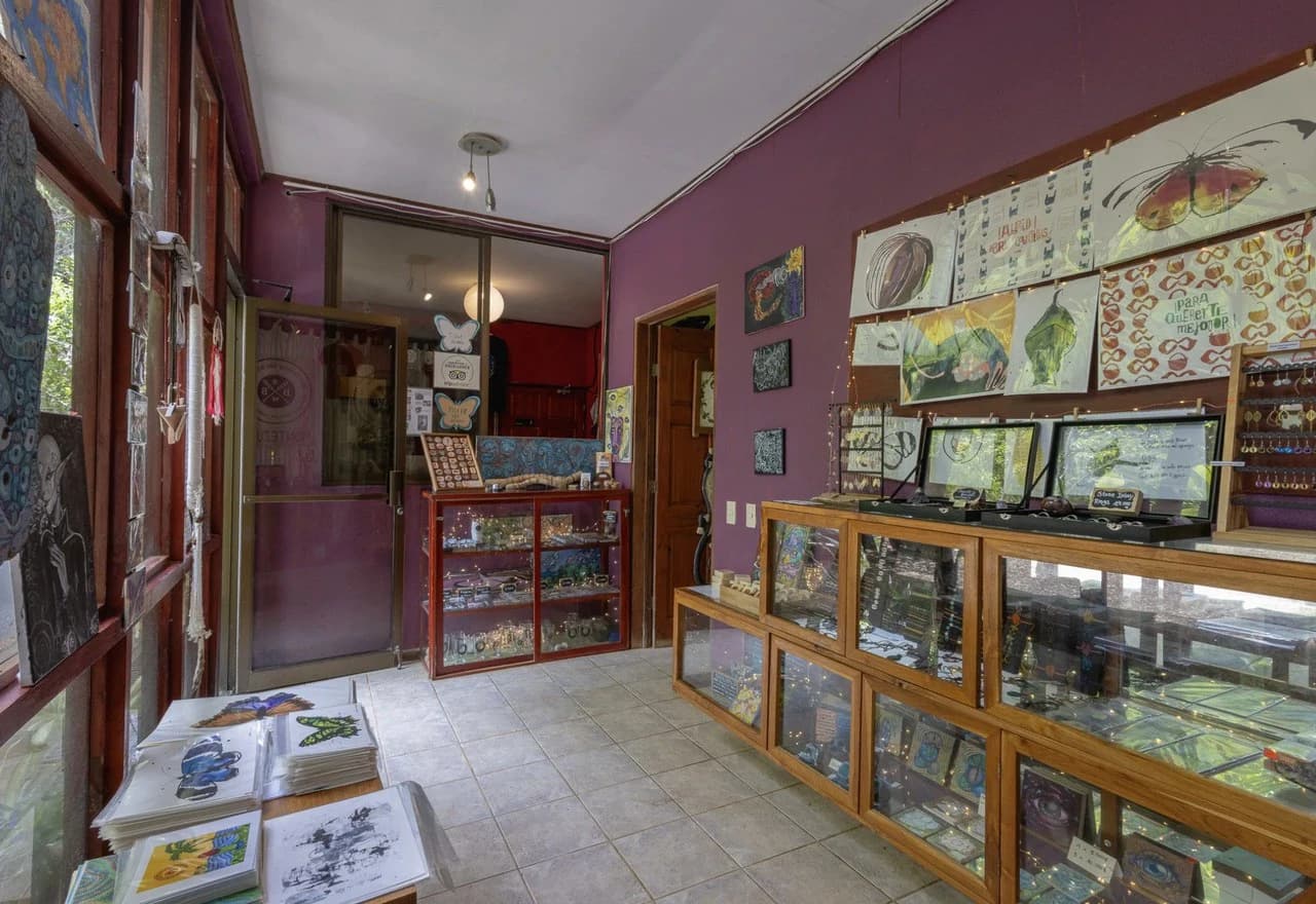 The Butterfly Brewery: $795,000 USD (NEW PRICE!) for this established business opportunity. - photo 7