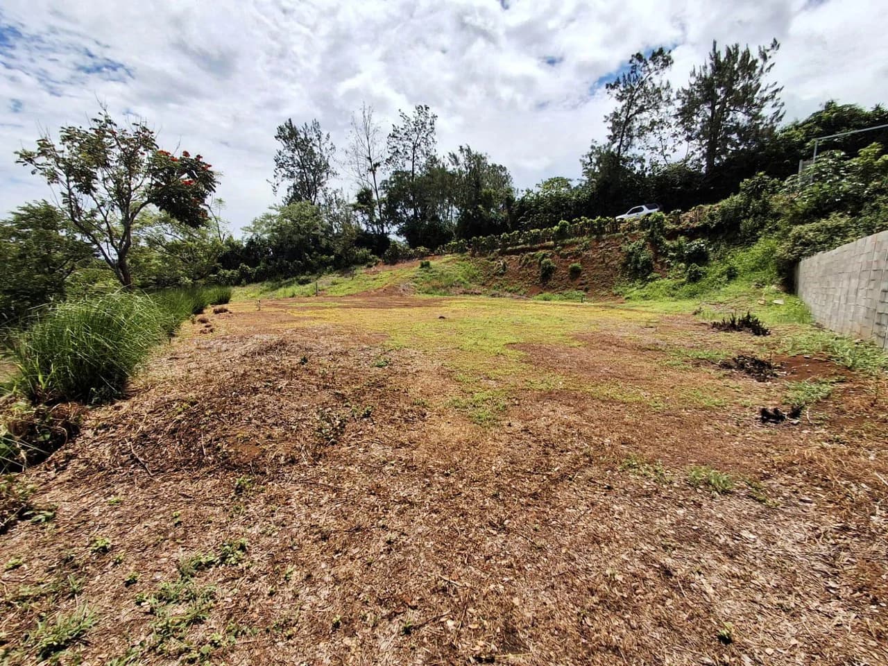 Flat and Private...Beautiful...Flat Lot close to town! - photo 8