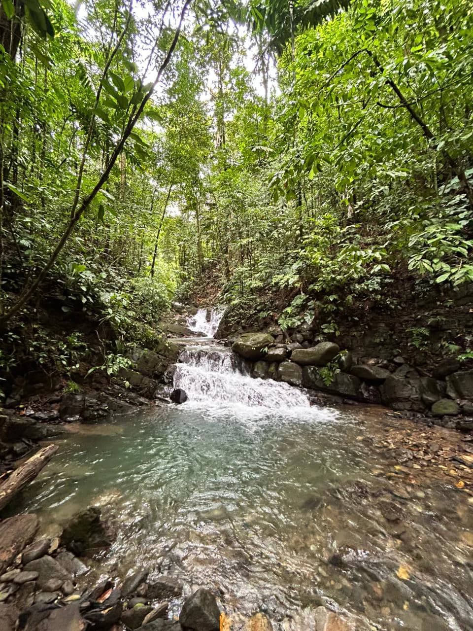 Finca Las Cataratas in Ballena: Mountain Home Construction Site For Sale in Bahía Ballena - photo 24