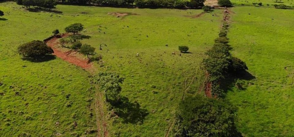 Finca Los Angeles: JUST REDUCED ! 281 Acre Farm with River, Lake, and Sunset views - photo 11
