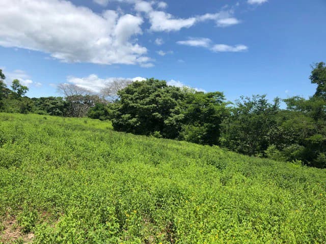 Amazing 50% discount for Huge ocean-view farm for sale surrounded by soft rolling hills and pristine nature - photo 27