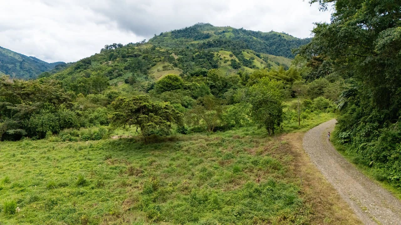 Mountain Home Construction Site For Sale in Río Nuevo - photo 19